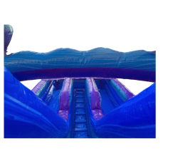 Untitled20design2023 1758751164 Purple Plunge